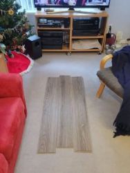 Sample section on carpet.