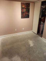 Den, carpet removed.