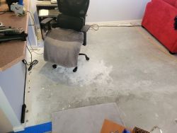 Living room, carpet half removed.