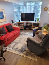 Another view of the finished living room.